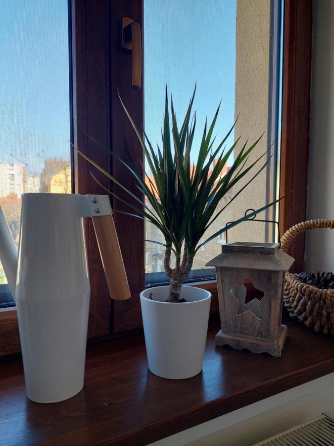 Emily Apartment 科希策 外观 照片