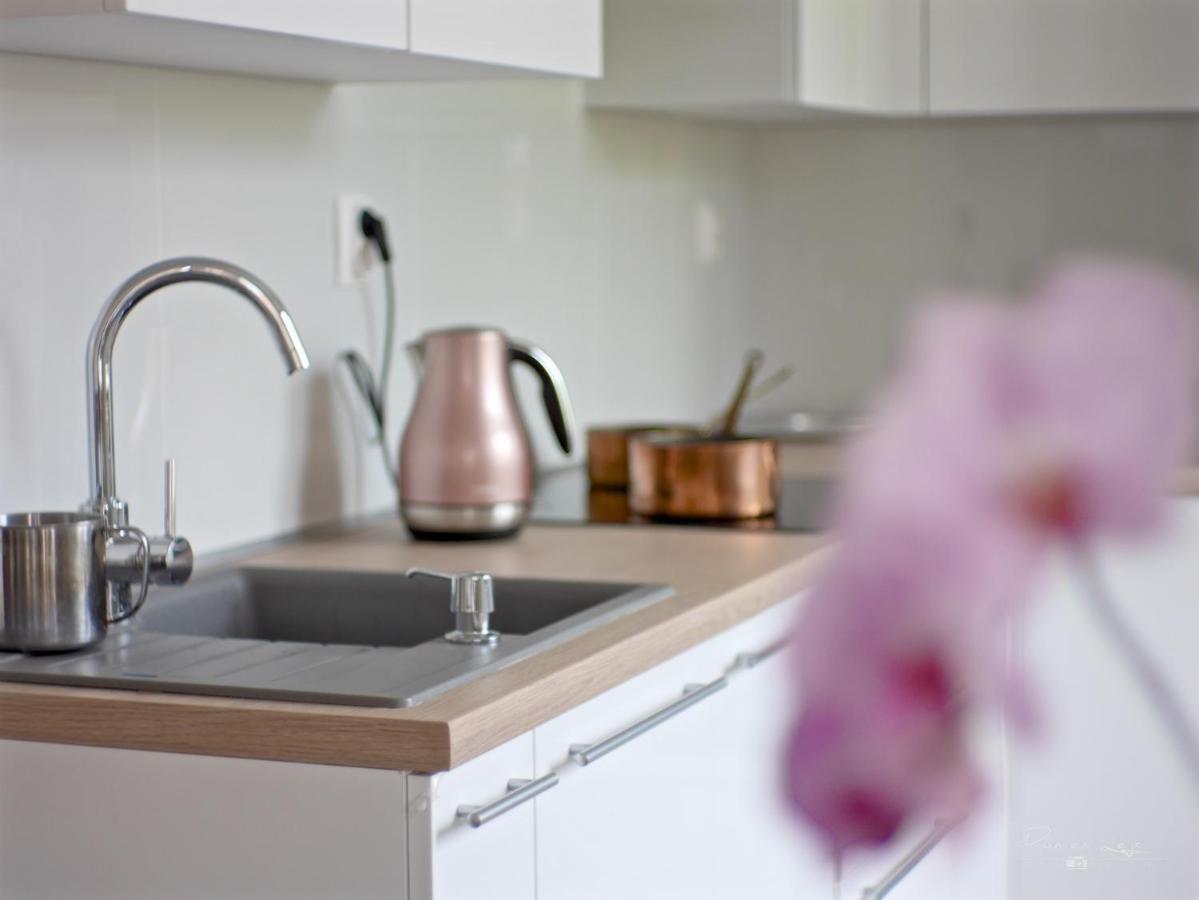 Emily Apartment 科希策 外观 照片