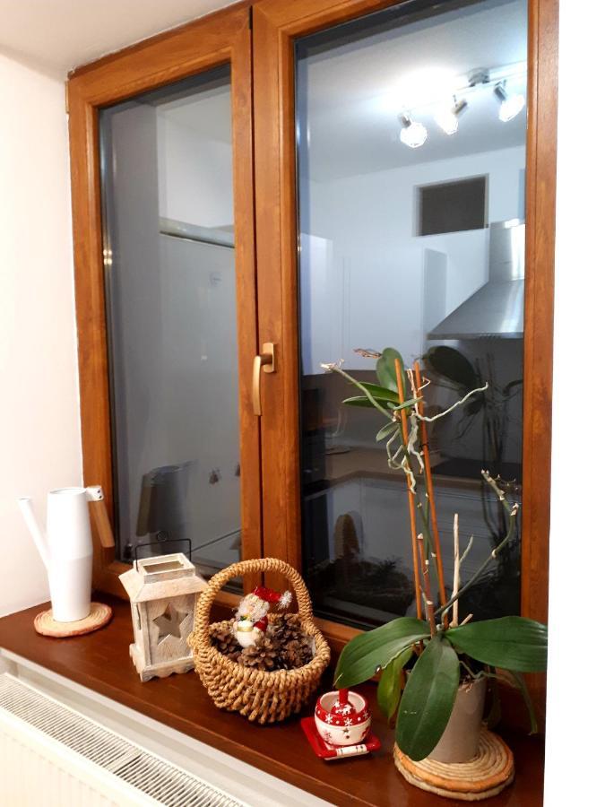 Emily Apartment 科希策 外观 照片